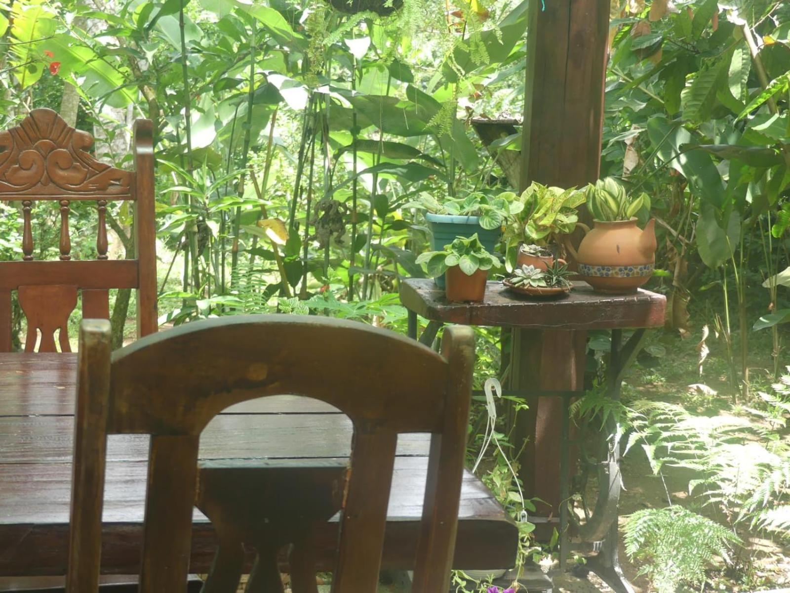 Hotel Cacao Rio Celeste Bijagua Kültér fotó